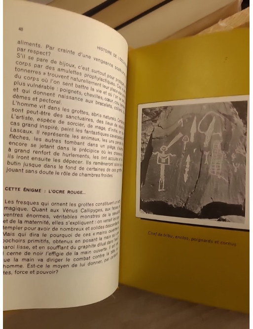 Histoire de la magie, de l'occultisme et des rites secrets Tome 1 - Danielle Hemmert - Étude des traditions ésotériques