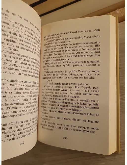 Le vent de la colère - Jacques Mazeau - Roman historique de secrets et rivalités familiales