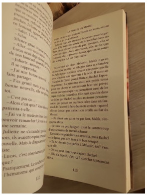 Plus Belle la Vie - La Fiancée du Mistral - Lambesc - Roman inspiré de la série télévisée