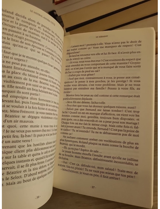 Plus belle la vie T1 Mistral années 70 Charles et Roland - Yvan Lopez - Roman inspiré de la série TV