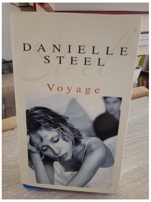 Voyage - Danielle Steel - Roman poignant sur violence conjugale et reconstruction