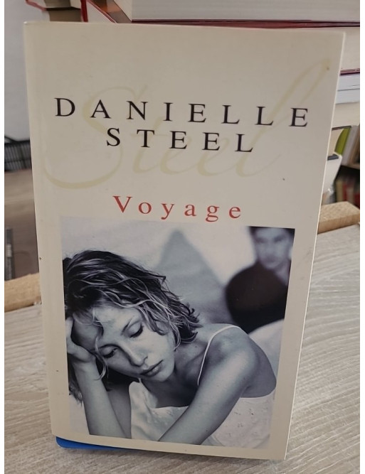 Voyage - Danielle Steel - Roman poignant sur violence conjugale et reconstruction
