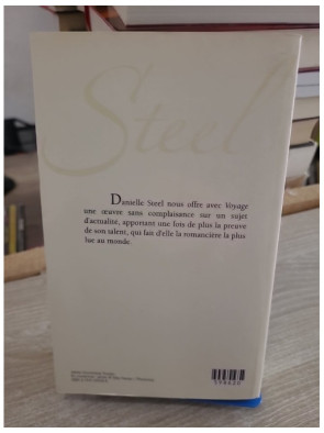 Voyage - Danielle Steel - Roman poignant sur violence conjugale et reconstruction