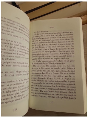 Voyage - Danielle Steel - Roman poignant sur violence conjugale et reconstruction