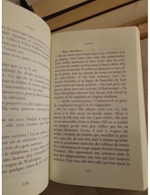 Voyage - Danielle Steel - Roman poignant sur violence conjugale et reconstruction