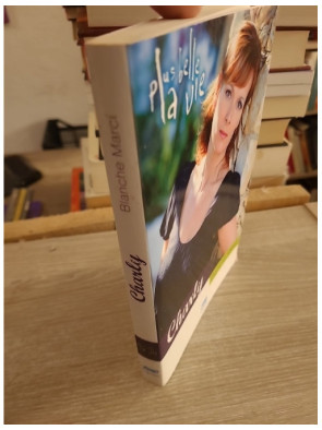 Charly - Blanche Marci - Roman inspiré de Plus belle la vie entre drame familial et secrets