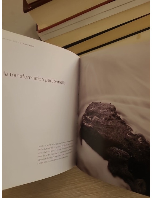Les Plus Belles Méditations de Conversations avec Dieu - Neale Donald Walsch - Méditations spirituelles inspirantes