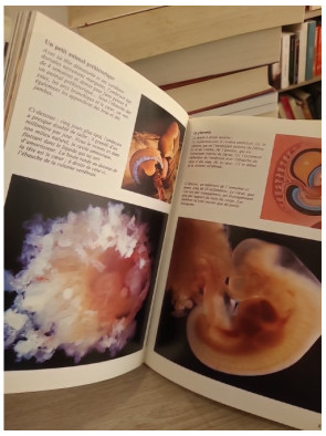 Naître - Le voyage fascinant de la vie humaine en images