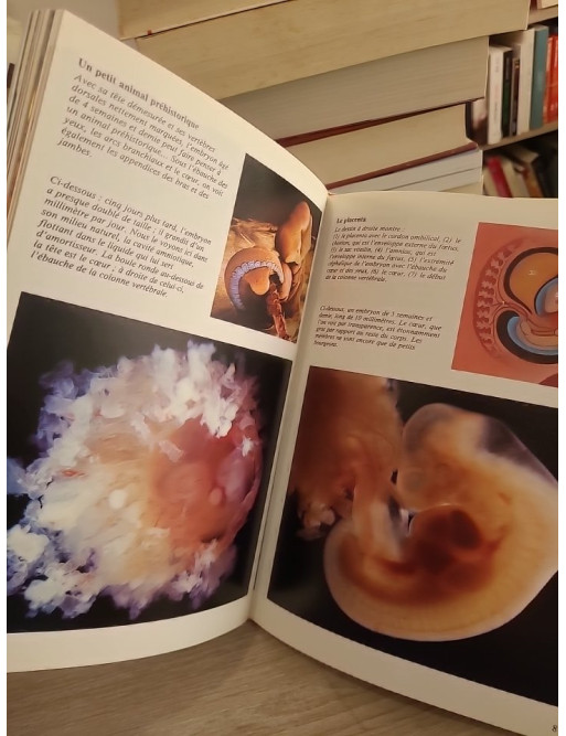 Naître - Le voyage fascinant de la vie humaine en images