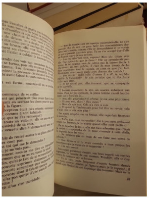 Le Triomphe de l'amour - Roman sentimental passion et destin