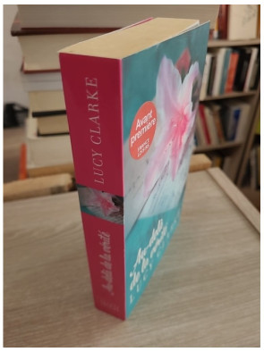 Au-delà de la vérité - Thriller entre voyage et secrets de famille