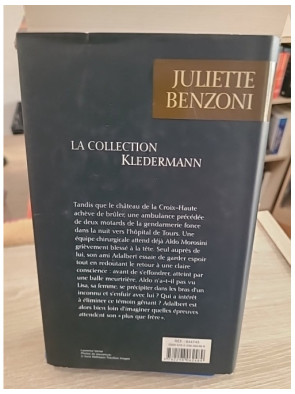 La Collection Kledermann - Roman historique et intrigue autour d'un héritage