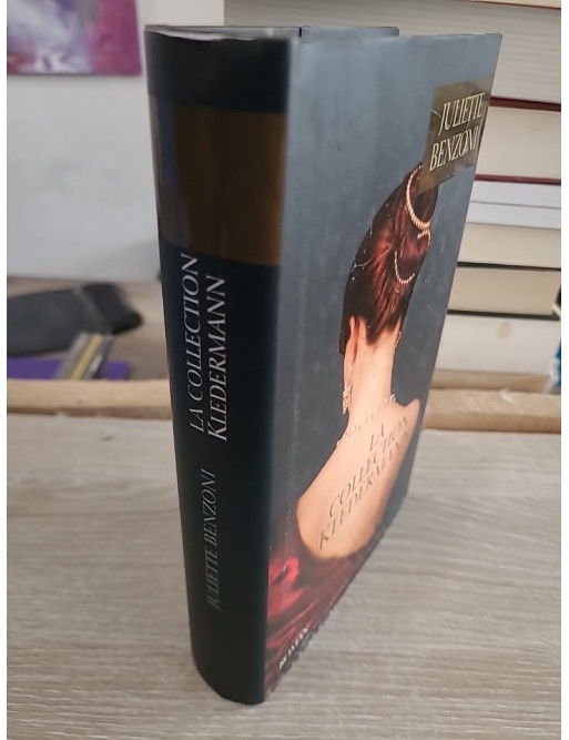 La Collection Kledermann - Roman historique et intrigue autour d'un héritage