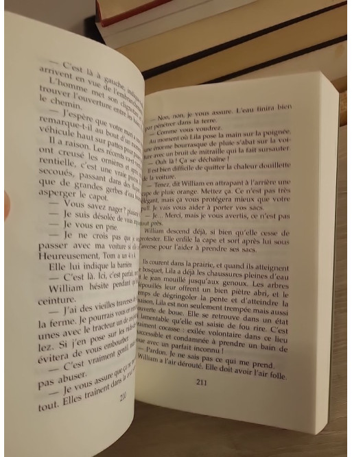 La maison du lac - Roman de secrets et de destins croisés