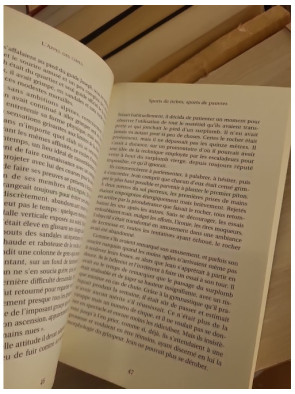 L'Appel des cimes - Roman d'aventure en haute montagne