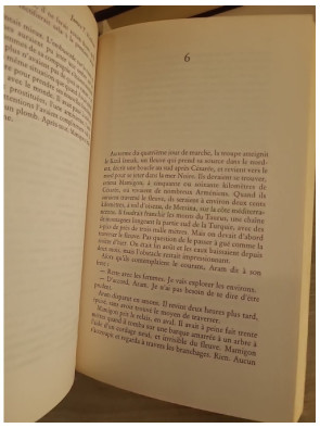 Le Sel de la vengeance - Roman noir et suspense