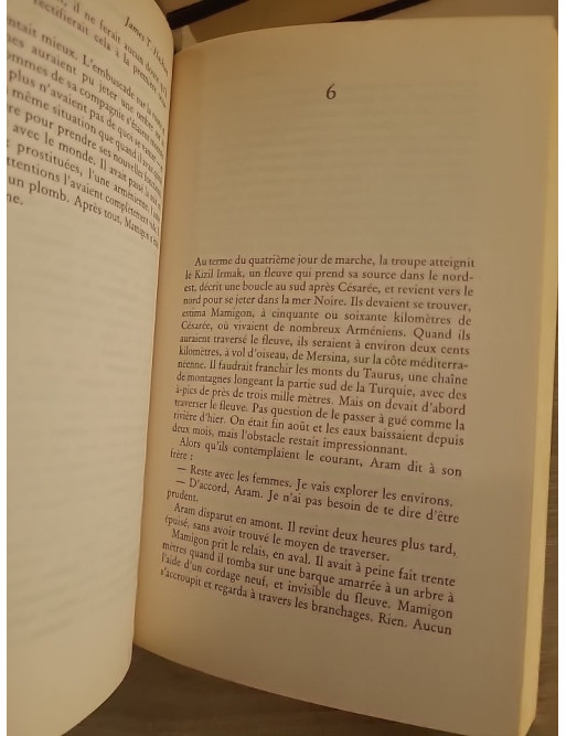 Le Sel de la vengeance - Roman noir et suspense