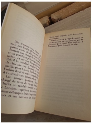 Opium - Voyage initiatique sur la route du thé