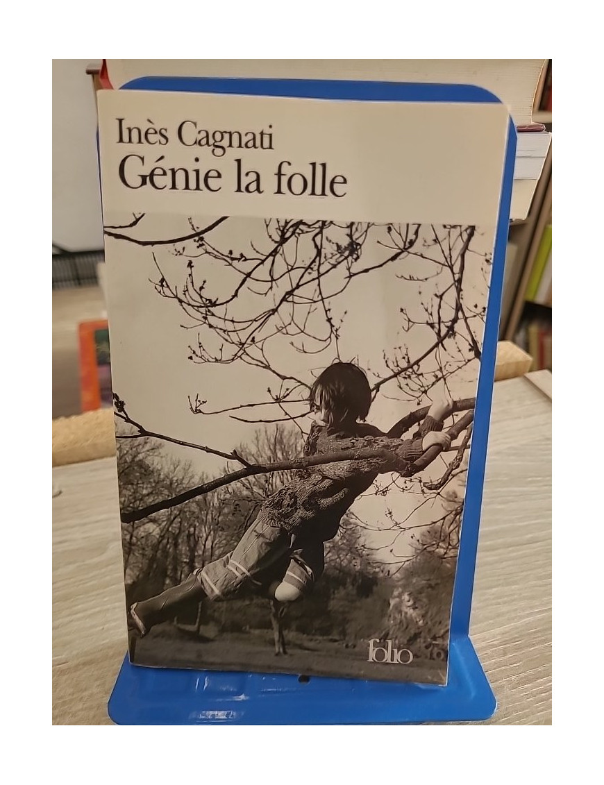Génie la folle - Roman poignant sur l'enfance et la marginalité