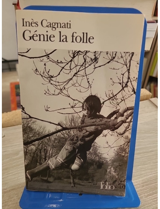 Génie la folle - Roman poignant sur l'enfance et la marginalité