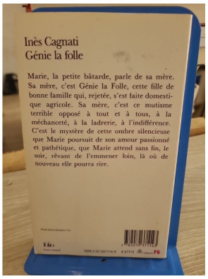 Génie la folle - Roman poignant sur l'enfance et la marginalité