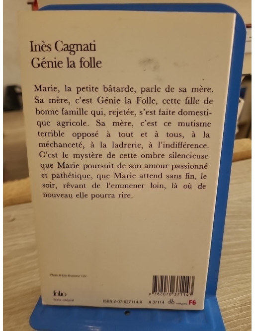 Génie la folle - Roman poignant sur l'enfance et la marginalité