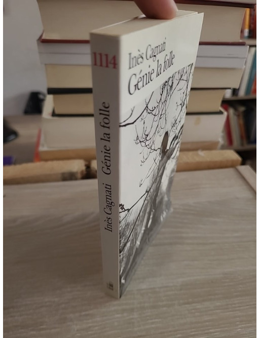 Génie la folle - Roman poignant sur l'enfance et la marginalité