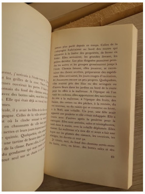 Génie la folle - Roman poignant sur l'enfance et la marginalité