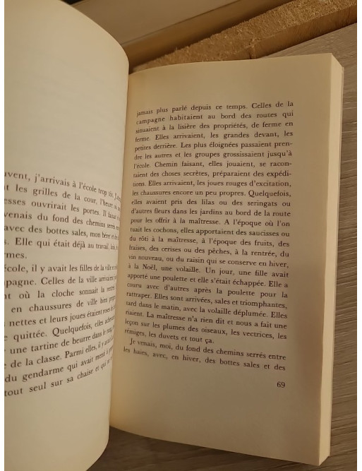 Génie la folle - Roman poignant sur l'enfance et la marginalité