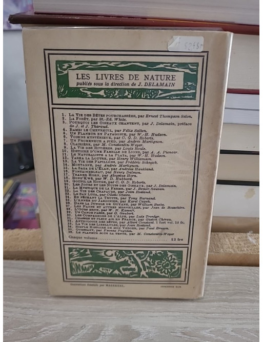 Le Singe et l’Enfant – étude comparative du développement humain et animal