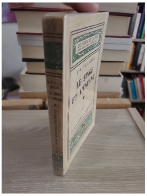 Le Singe et l’Enfant – étude comparative du développement humain et animal