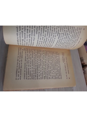 Le Singe et l’Enfant – étude comparative du développement humain et animal