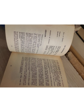 Jeux pour landes et bois - Activités nature en plein air