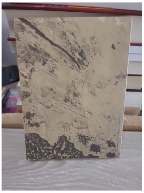 Cercoeur – roman introspectif de Chantal Chawaf