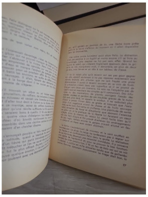 Félix de la forêt – récit littéraire de Bontemps Ch.Aug.