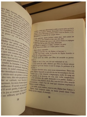 Le Grand Vizir de la nuit – roman historique inspiré des Mille et Une Nuits