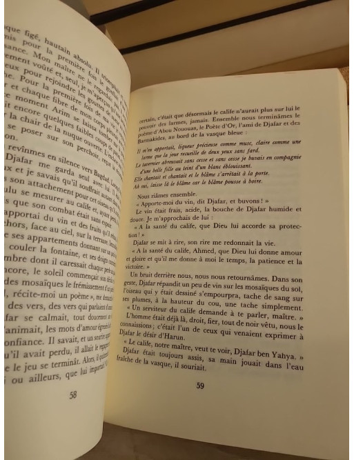 Le Grand Vizir de la nuit – roman historique inspiré des Mille et Une Nuits