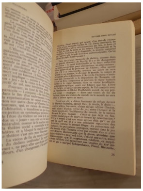 Les Illusiades - Essai sur le théâtre de l'acteur