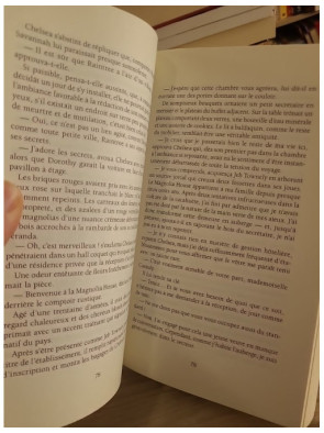 Magnolia - JoAnn Ross