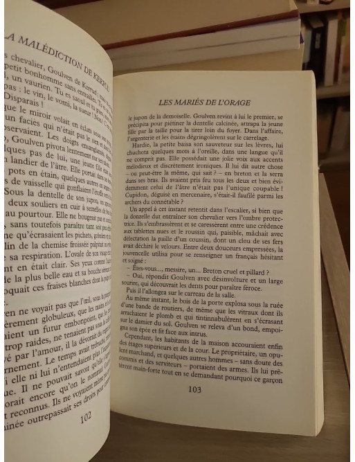 La Malédiction de Kerrud - Dominique Rebourg