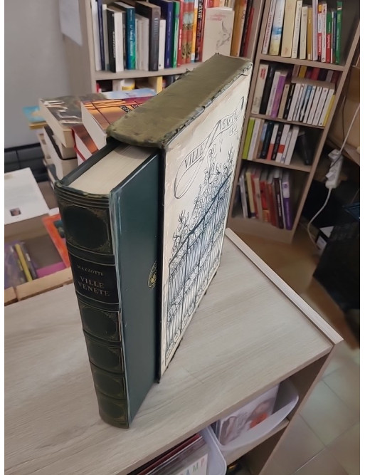 Ville Venete - Patrimoine et architecture des villes de la Vénétie