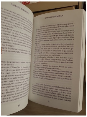 Bamako terminus - Sylvie François-Dupont