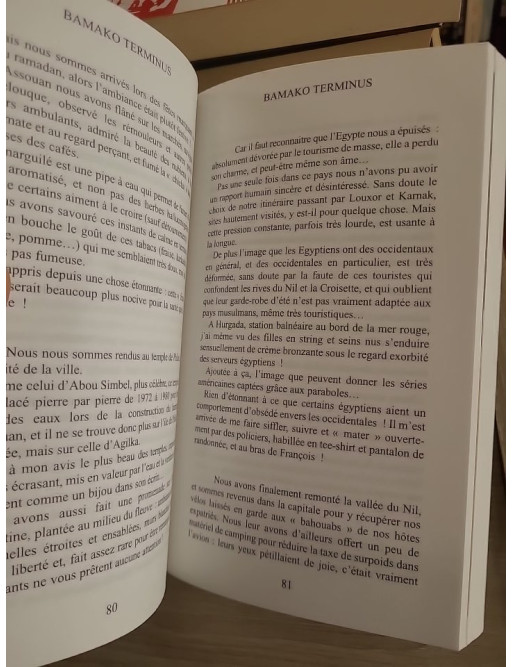 Bamako terminus - Sylvie François-Dupont