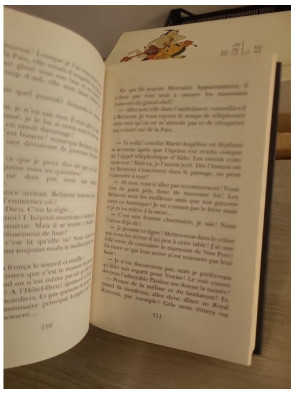 La chimère d'or des Borgia - Juliette Benzoni