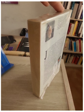 Jahanara - Lyane Guillaume