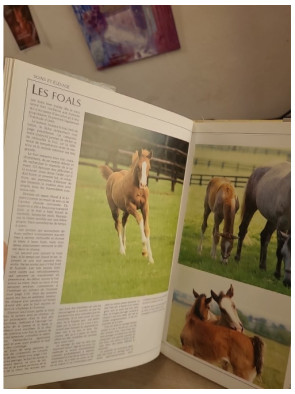 Le grand livre du cheval - Élevage, dressage, soins, races et équitation