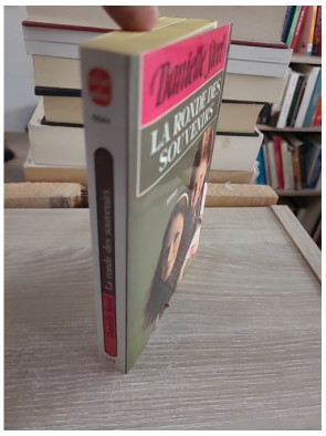 La Ronde des souvenirs - Destin d'une femme entre épreuves, résilience et espoir