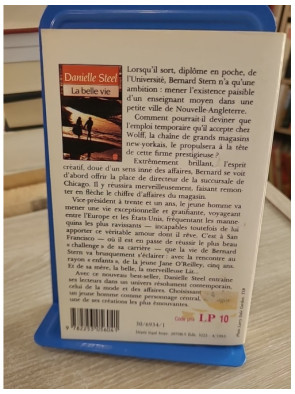 La belle vie - Danielle Steel - Roman émouvant entre réussite, amour et destin