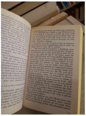 La belle vie - Danielle Steel - Roman émouvant entre réussite, amour et destin