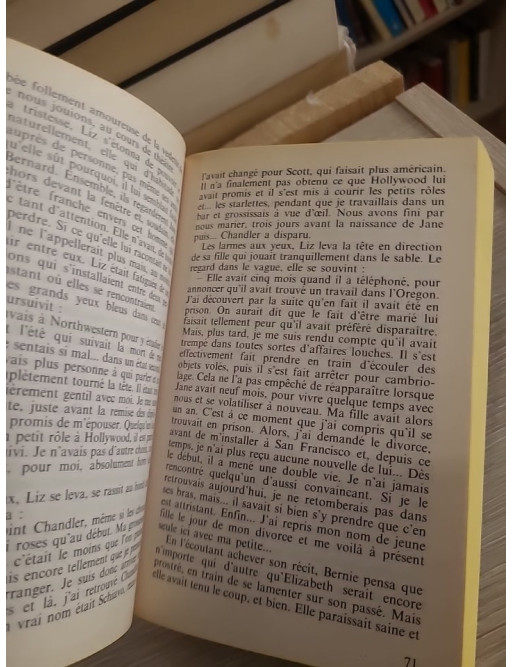 La belle vie - Danielle Steel - Roman émouvant entre réussite, amour et destin
